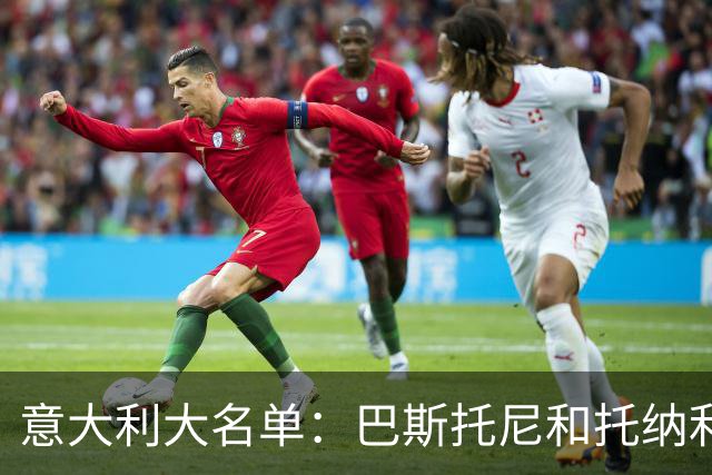 意大利大名单：巴斯托尼&托纳利领衔